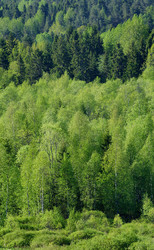 Similar image 10500002