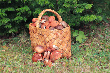 Similar image 10500004