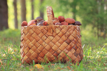 Similar image 10500007