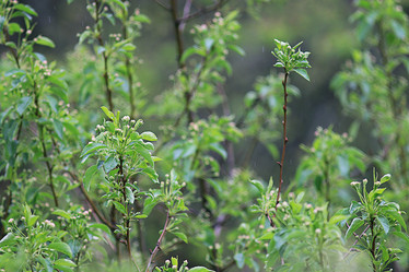 Similar image 10500036