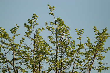 Similar image 10500038