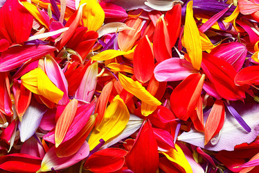 Similar image 10500039