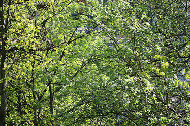 Similar image 10500040