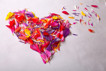 Similar image 10500041