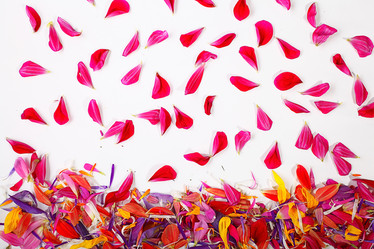 Similar image 10500045