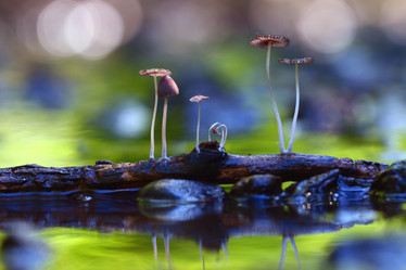 Similar image 10500047