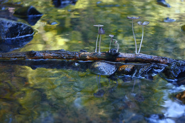 Similar image 10500049