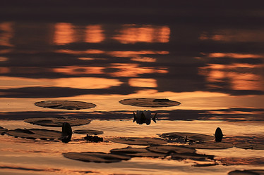 Similar image 10500059