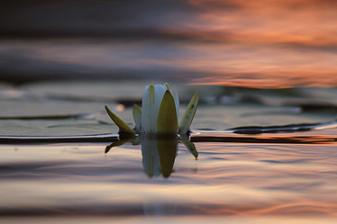 Similar image 10500061