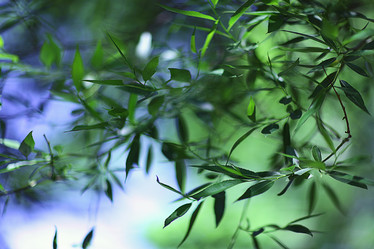 Similar image 10500063