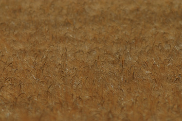 Similar image 10500071