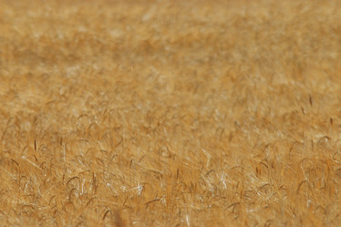 Similar image 10500072