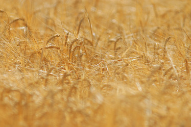 Similar image 10500073