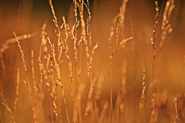 Similar image 10500074