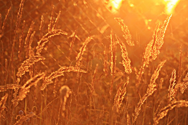 Similar image 10500075