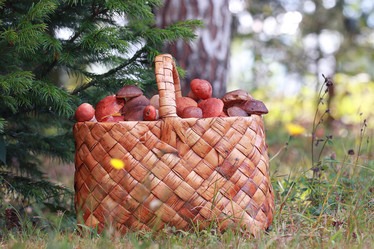 Similar image 10500088