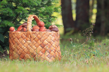 Similar image 10500089