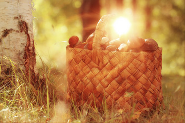 Similar image 10500090