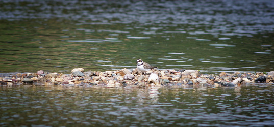 Similar image 10500108