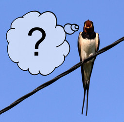 Similar image 10500114