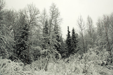 Similar image 10500120