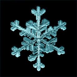 Similar image 10500122