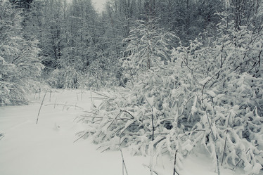 Similar image 10500128