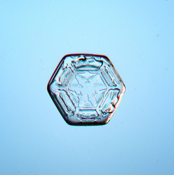 Similar image 10500131