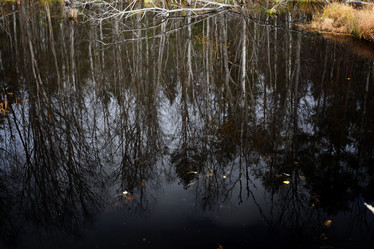 Similar image 10500132