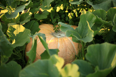 Similar image 10500143