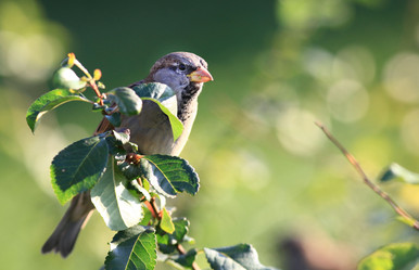 Similar image 10500255