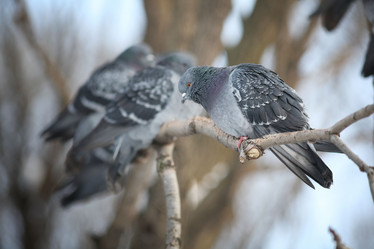 Similar image 10500258