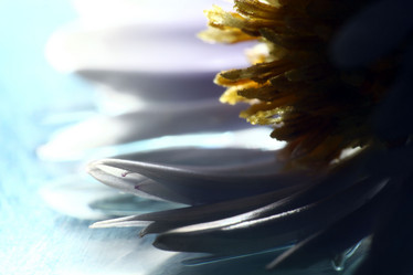 Similar image 10500262