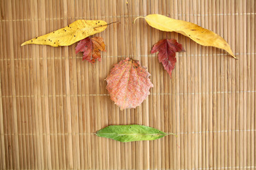 Similar image 10500284