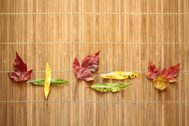 Similar image 10500288