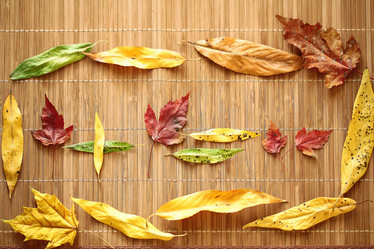 Similar image 10500289