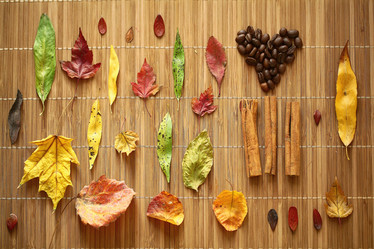 Similar image 10500291