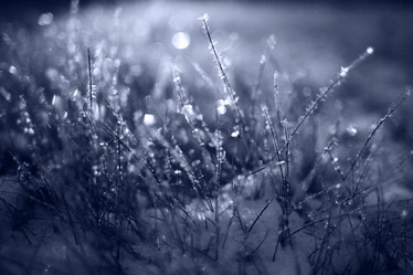 Similar image 10500313