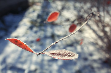 Similar image 10500316