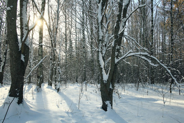 Similar image 10500318