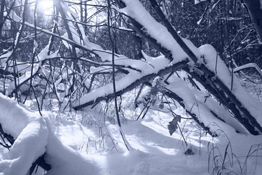 Similar image 10500319