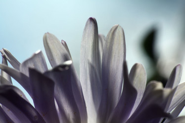 Similar image 10500328