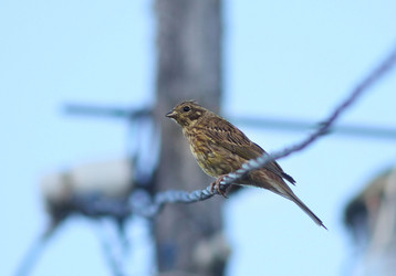 Similar image 10500337