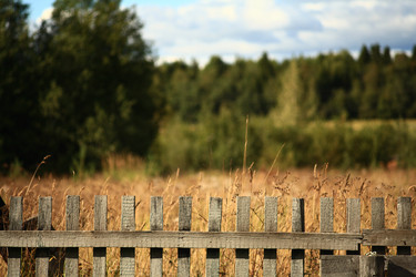 Similar image 10500338