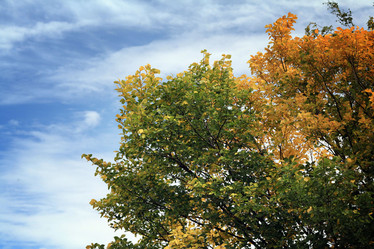 Similar image 10500339