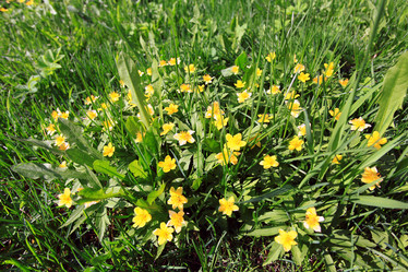 Similar image 10500340