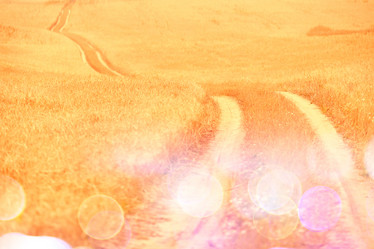 Similar image 10500355