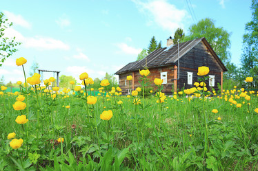 Similar image 10500362