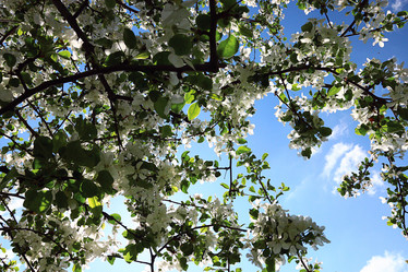 Similar image 10500365