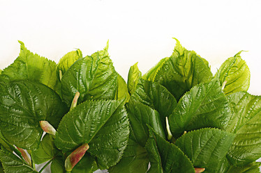 Similar image 10500369